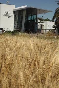Camberland (adults Only) 4*